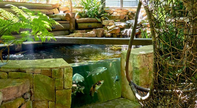 4 Bedroom Property for Sale in Hout Bay Western Cape